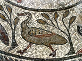 Corinium Museum Duck Part of the Orpheus Mosaic in the Cotswolds